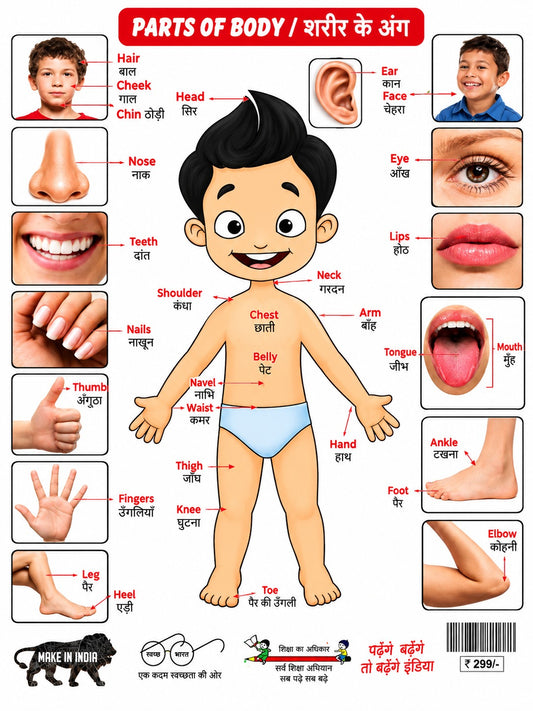 My First Big Book of All in One | English-Hindi Alphabet, Numbers & General Knowledge Learning Book for Kids