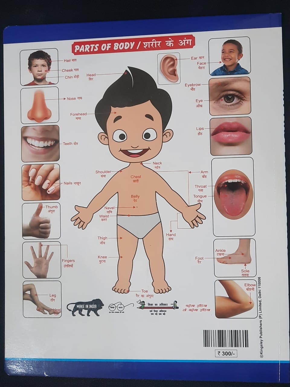 My First Board Book – All in One English & Hindi Learning Book for Kids | 16 Pages