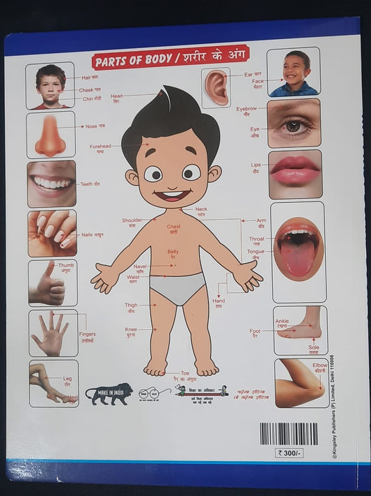 My First Board Book – All in One English & Hindi Learning Book for Kids | 16 Pages